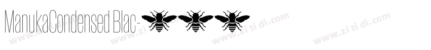 ManukaCondensed Blac字体转换